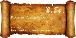 Molnár Szigfrid névjegykártya